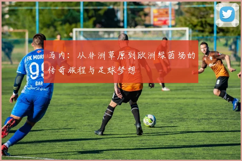 马内：从非洲草原到欧洲绿茵场的传奇旅程与足球梦想